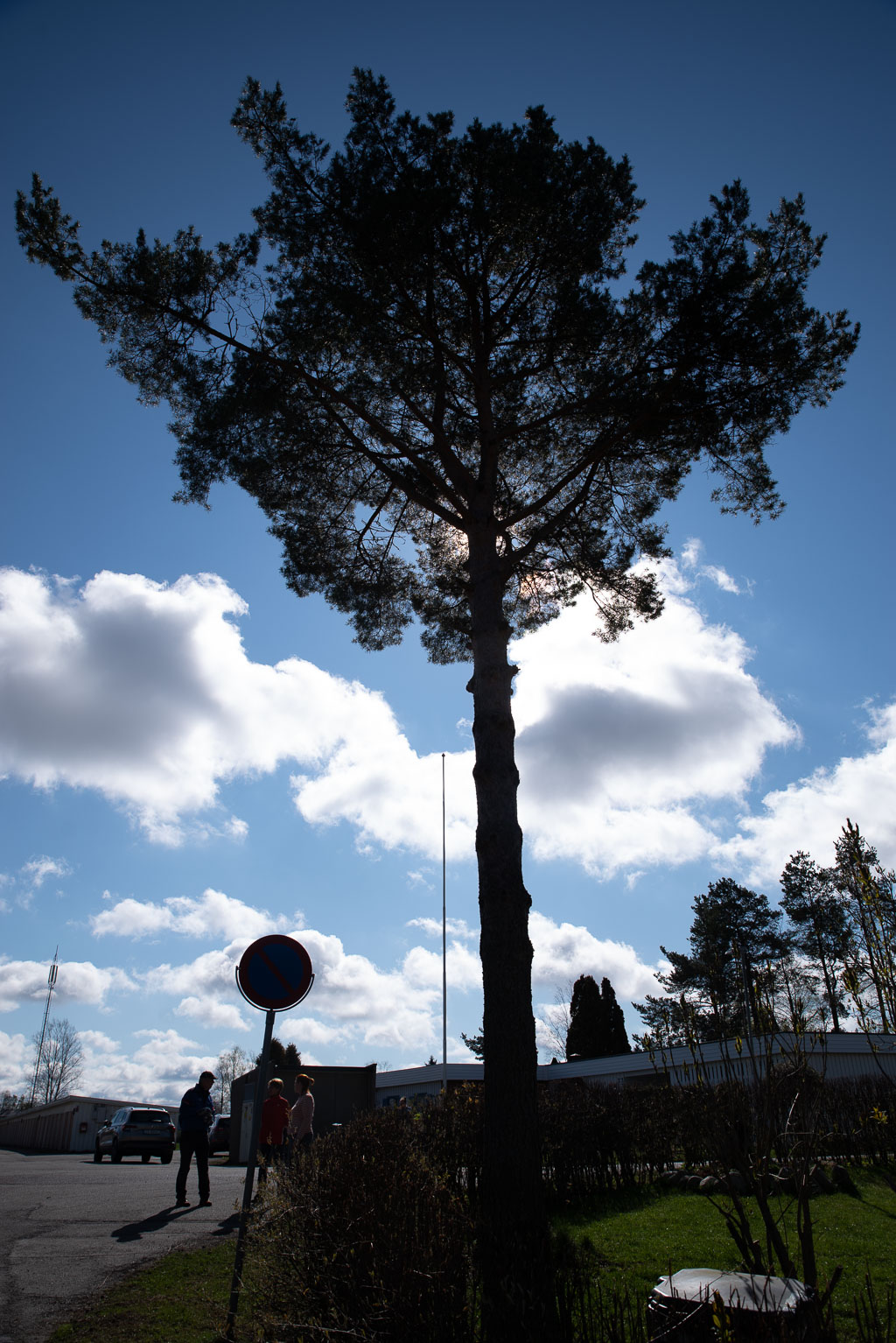 Pentax K-1 / 2 Pentax K-1   2