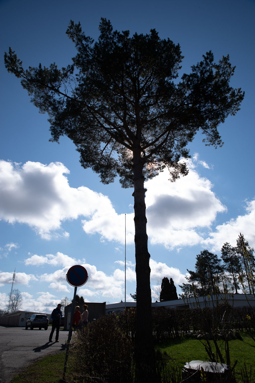 Pentax K-1 / 2 Pentax K-1   2