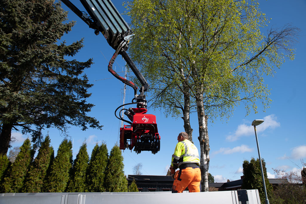 Pentax K-1 / 2 Pentax K-1   2
