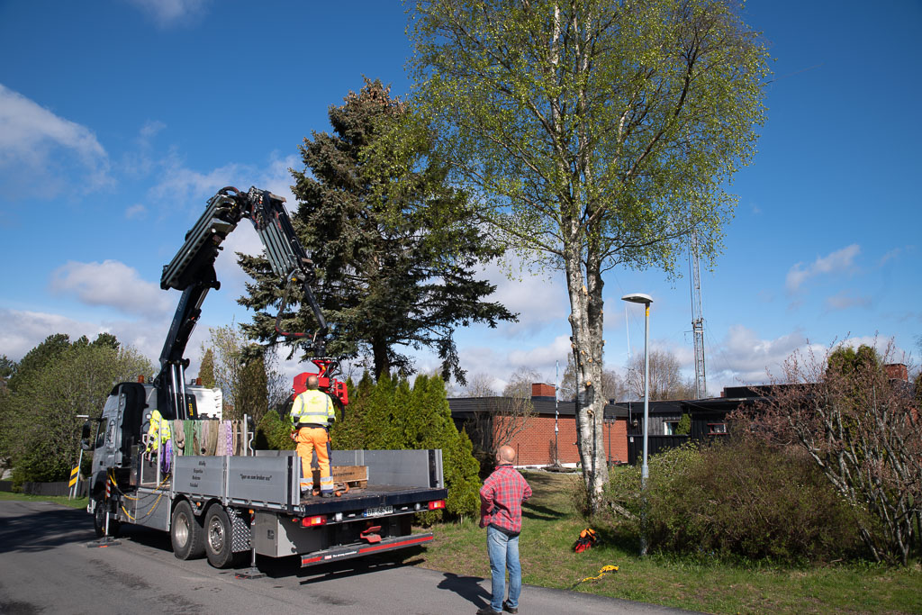 Pentax K-1 / 2 Pentax K-1   2