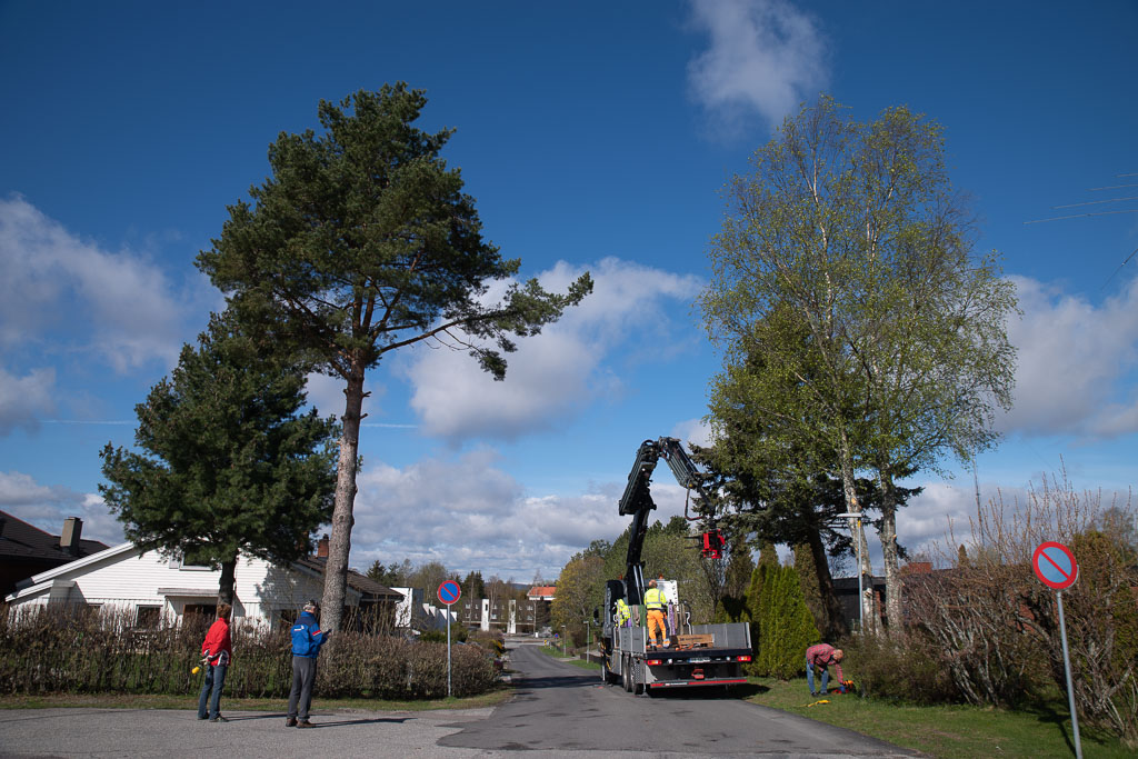 Pentax K-1 / 2 Pentax K-1   2