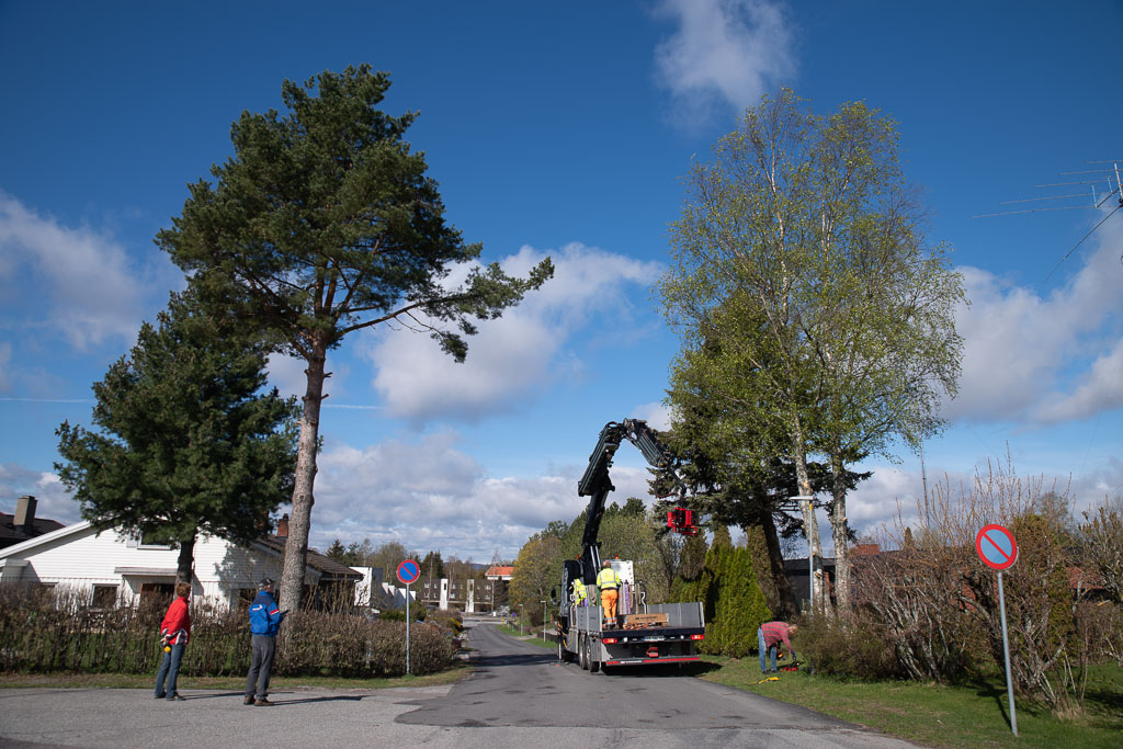 Pentax K-1 / 2 Pentax K-1   2