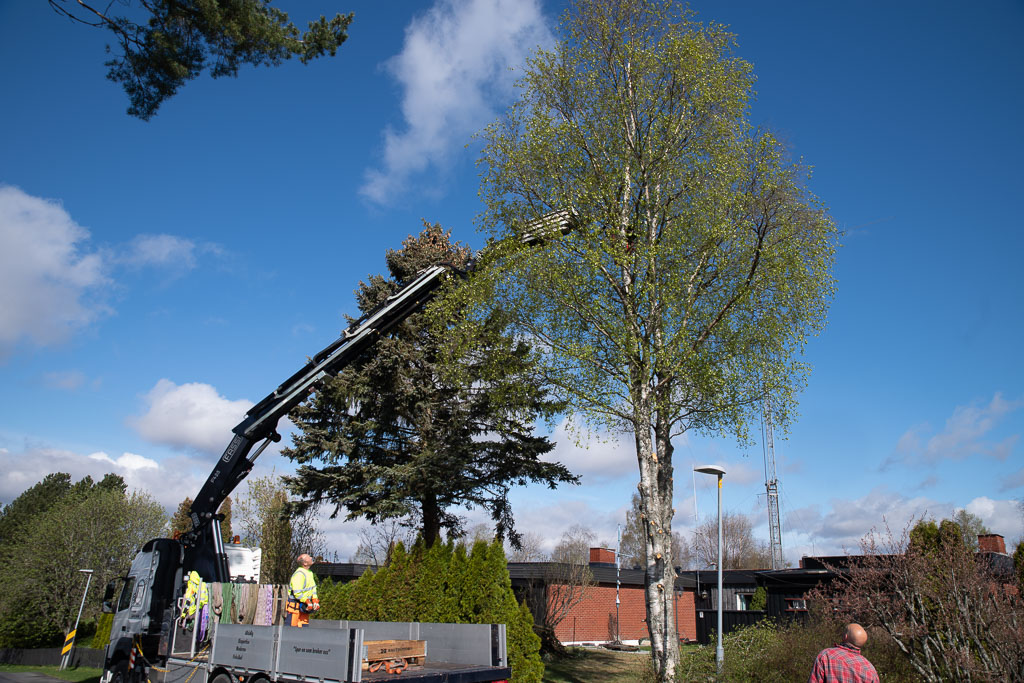 Pentax K-1 / 2 Pentax K-1   2