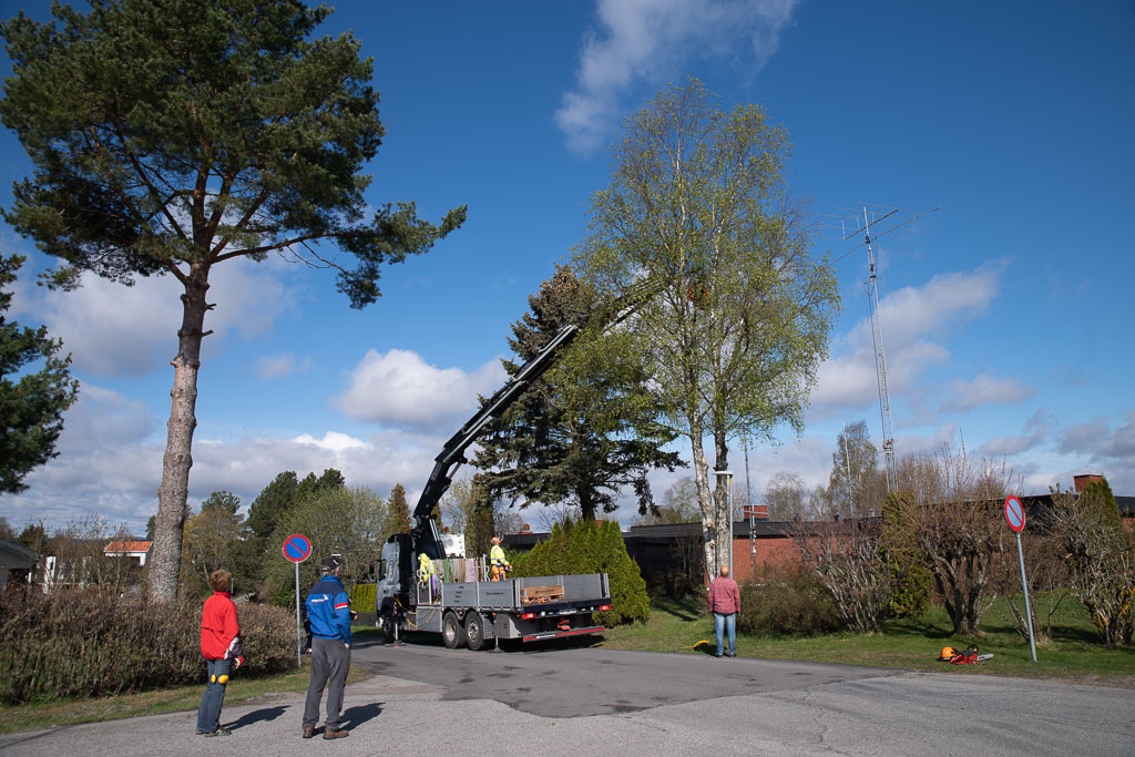 Pentax K-1 / 2 Pentax K-1   2