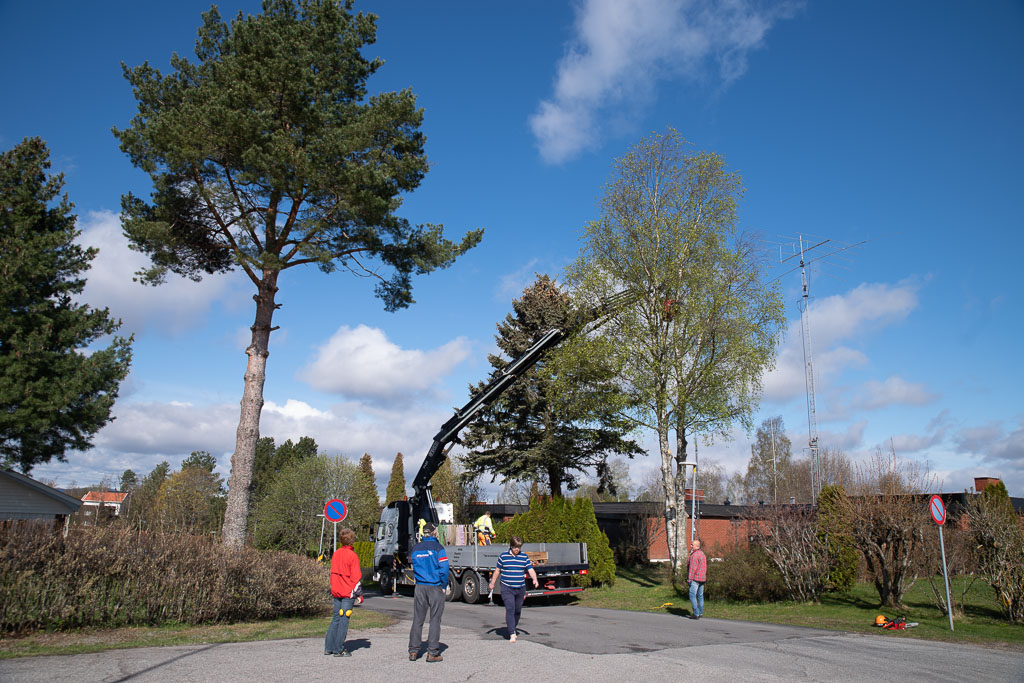 Pentax K-1 / 2 Pentax K-1   2