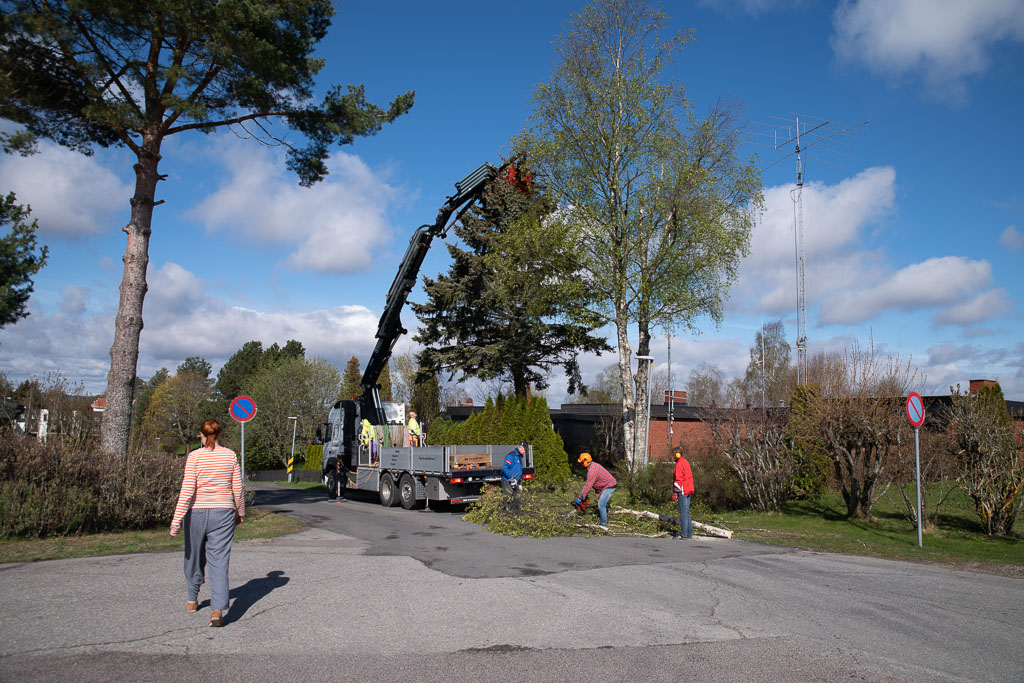 Pentax K-1 / 2 Pentax K-1   2