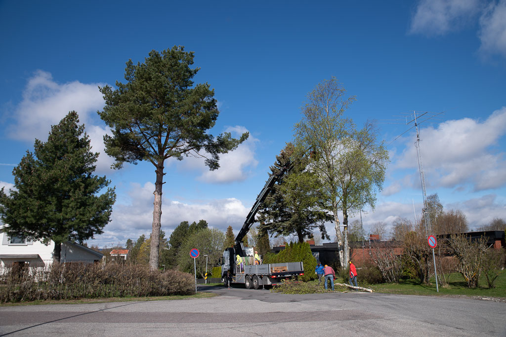 Pentax K-1 / 2 Pentax K-1   2