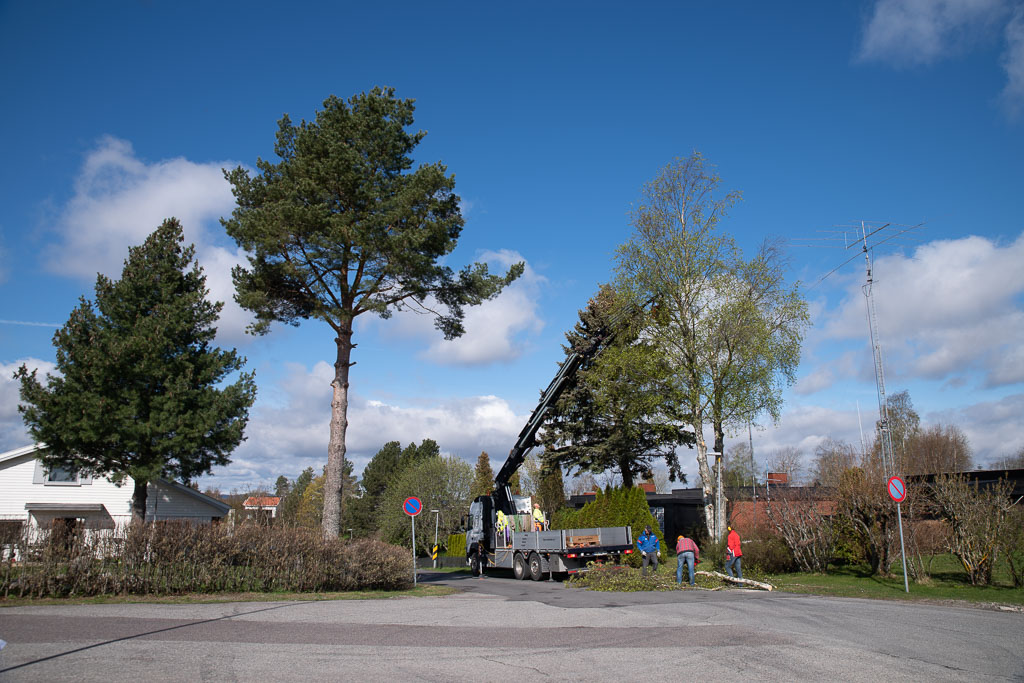 Pentax K-1 / 2 Pentax K-1   2