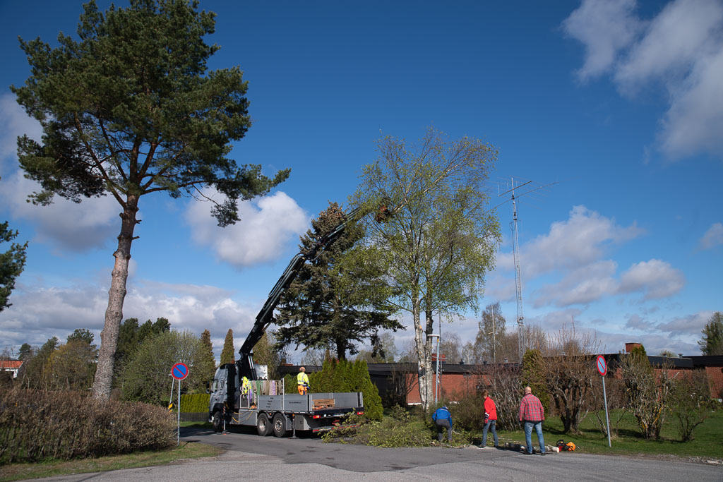 Pentax K-1 / 2 Pentax K-1   2