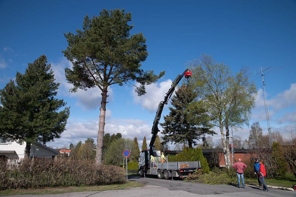 Pentax K-1 / 2 Pentax K-1   2
