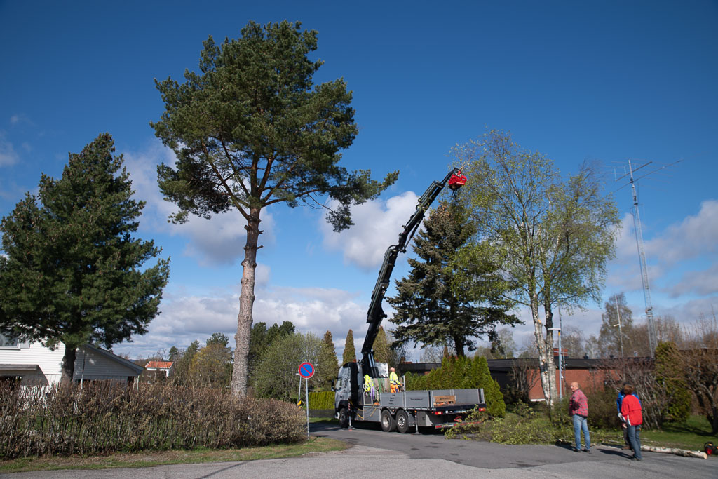 Pentax K-1 / 2 Pentax K-1   2