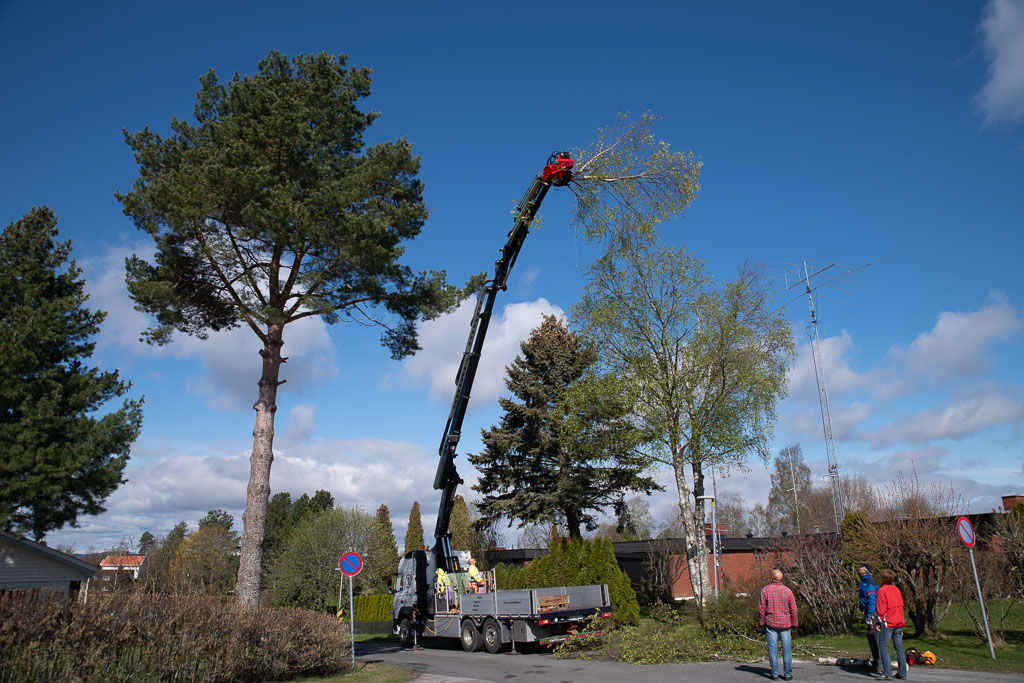 Pentax K-1 / 2 Pentax K-1   2