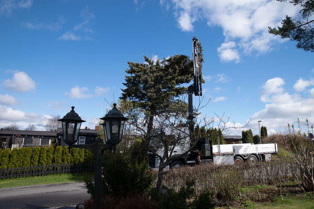 Pentax K-1 / 2 Pentax K-1   2