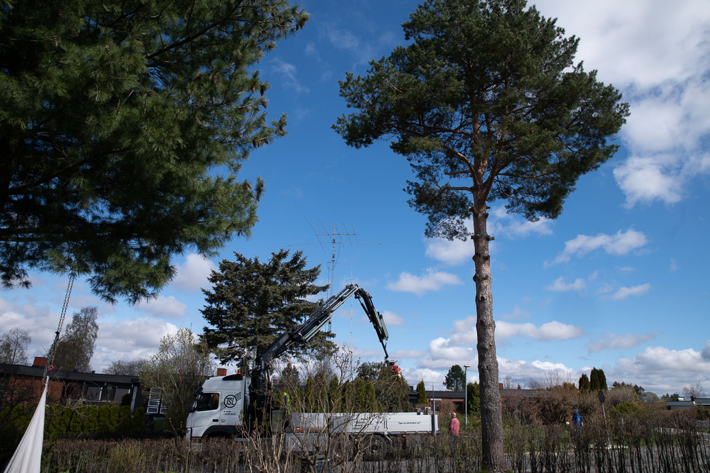 Pentax K-1 / 2 Pentax K-1   2