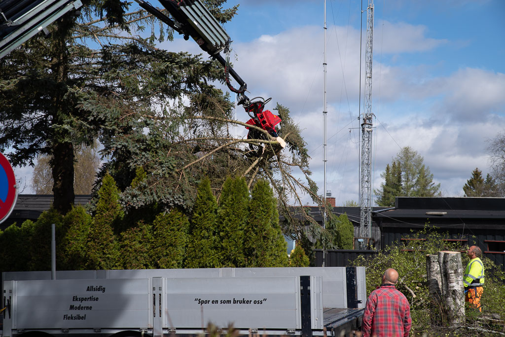 Pentax K-1 / 2 Pentax K-1   2