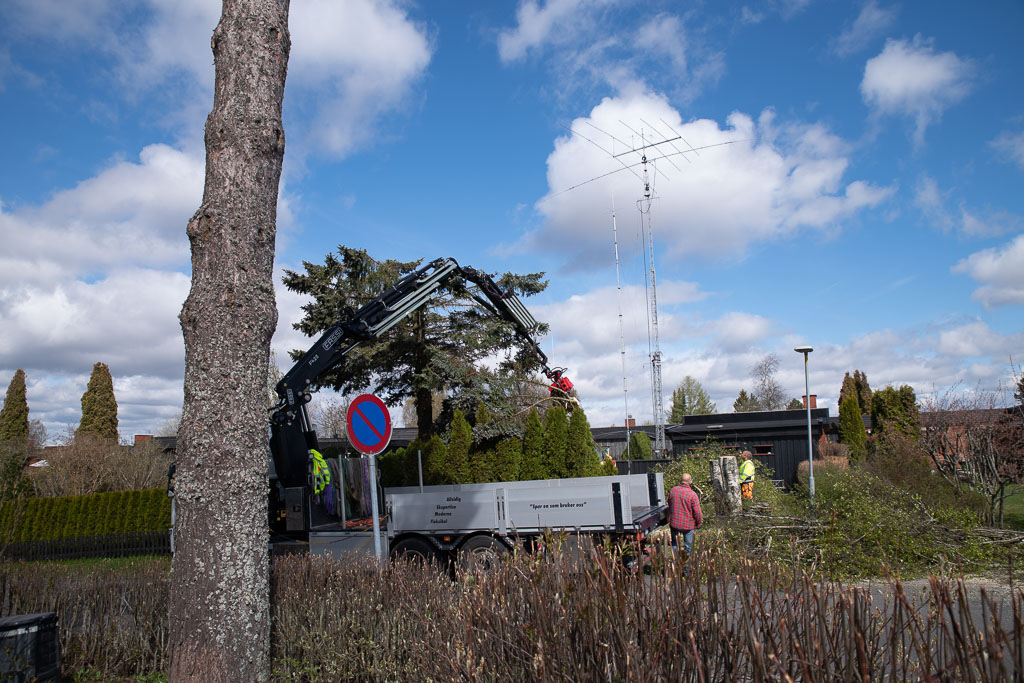 Pentax K-1 / 2 Pentax K-1   2