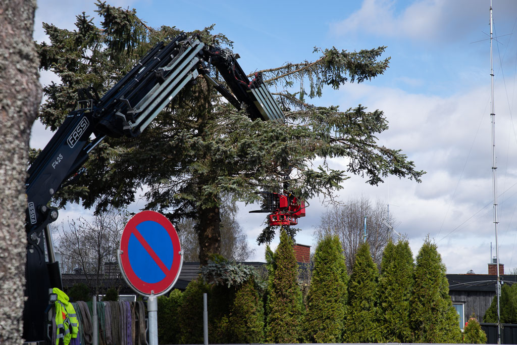 Pentax K-1 / 2 Pentax K-1   2