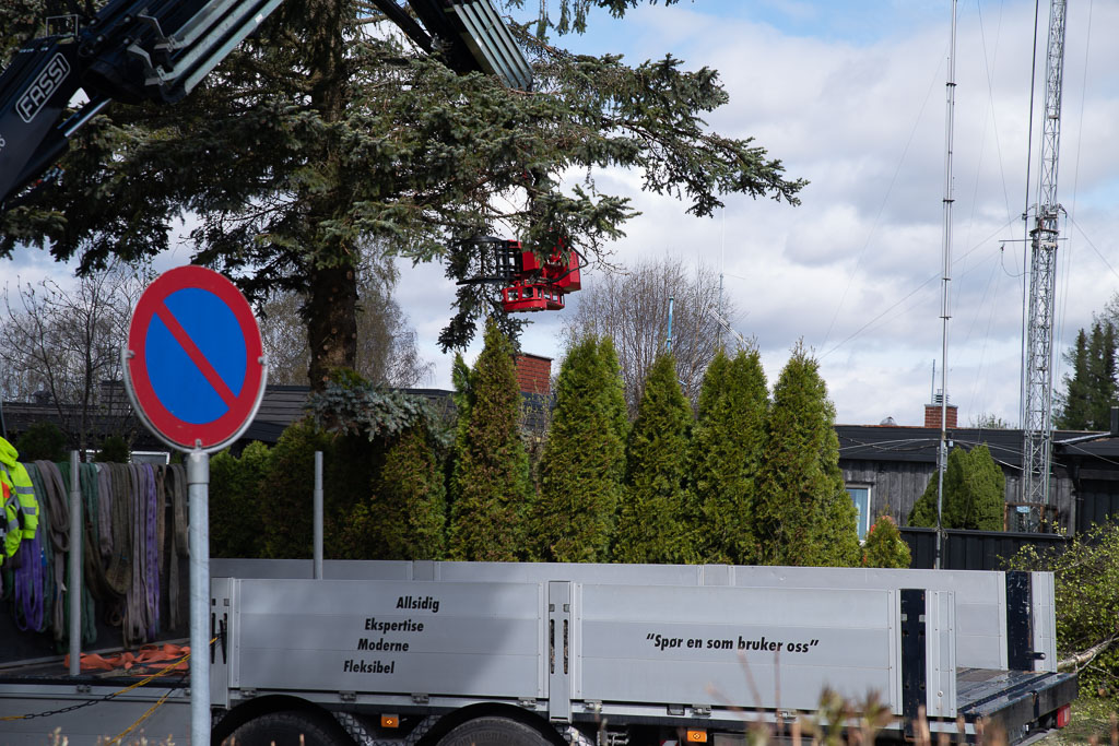 Pentax K-1 / 2 Pentax K-1   2