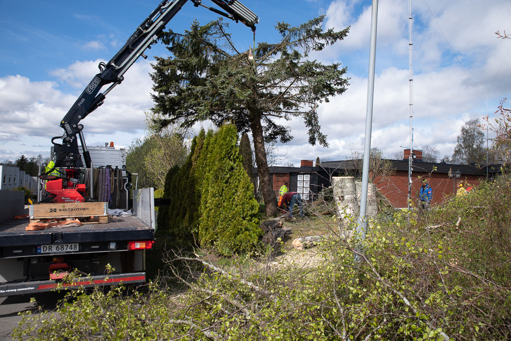 Pentax K-1 / 2 Pentax K-1   2