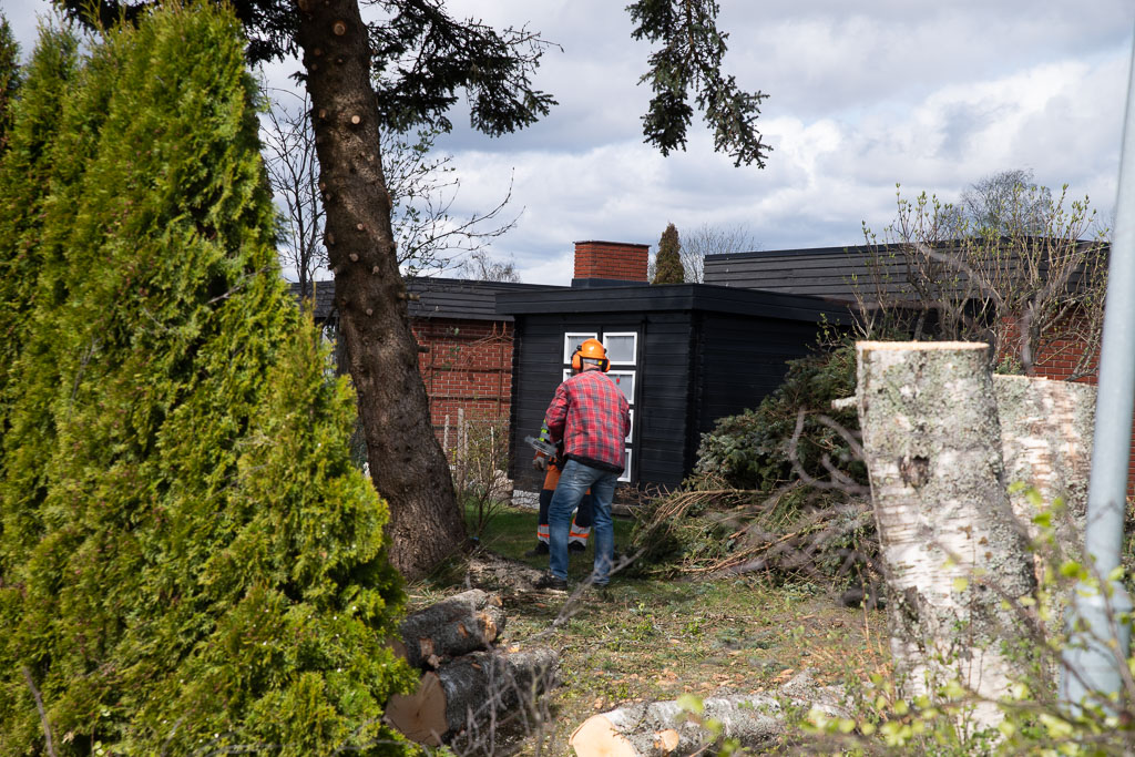 Pentax K-1 / 2 Pentax K-1   2