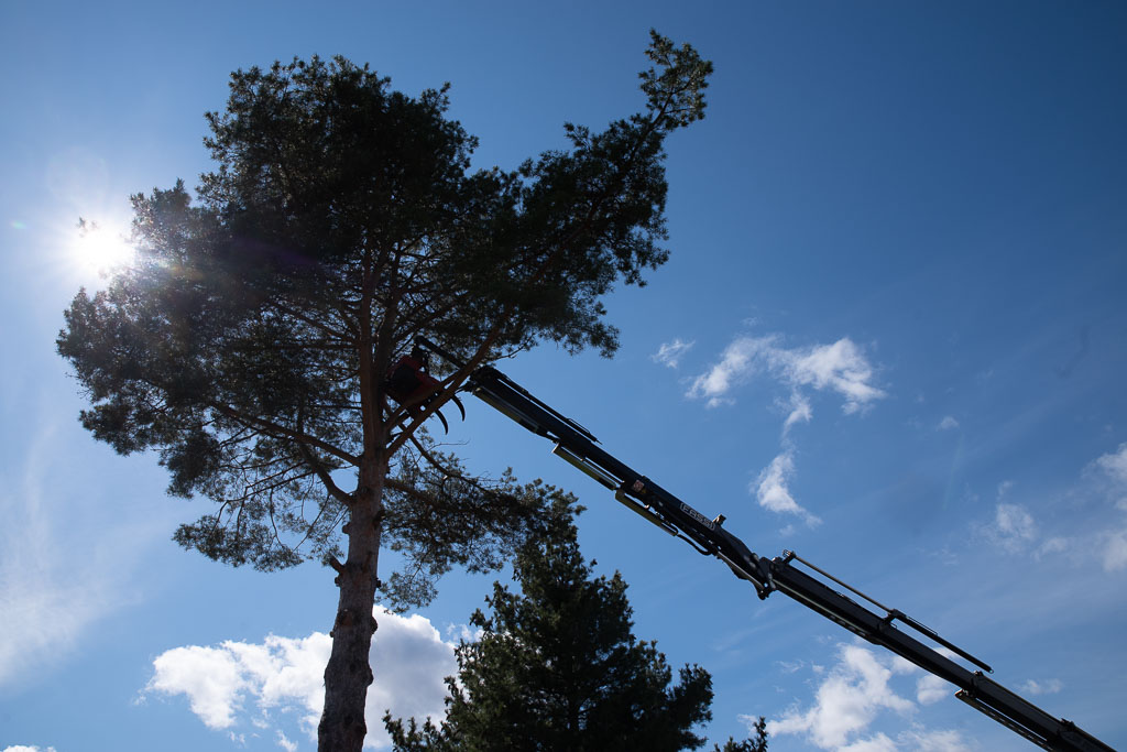 Pentax K-1 / 2 Pentax K-1   2