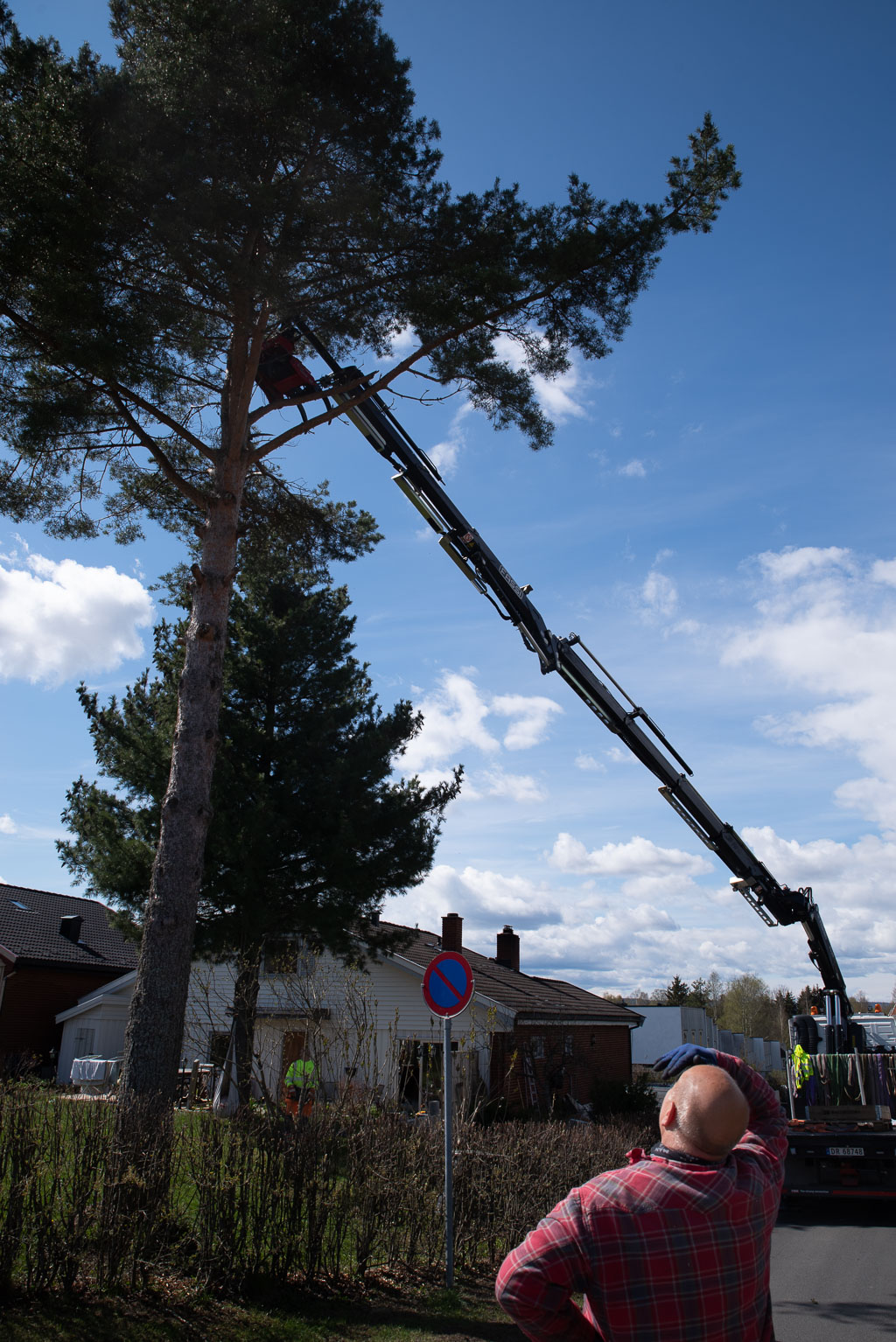 Pentax K-1 / 2 Pentax K-1   2