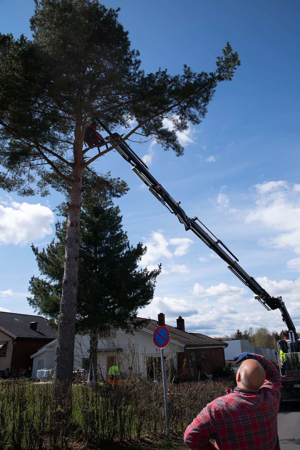 Pentax K-1 / 2 Pentax K-1   2