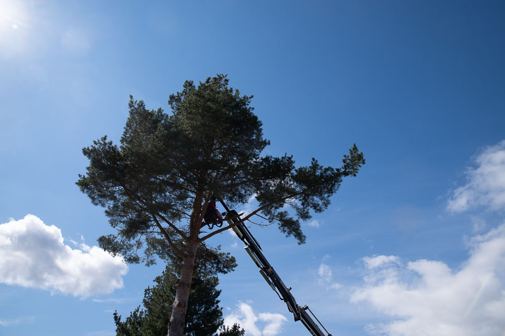 Pentax K-1 / 2 Pentax K-1   2