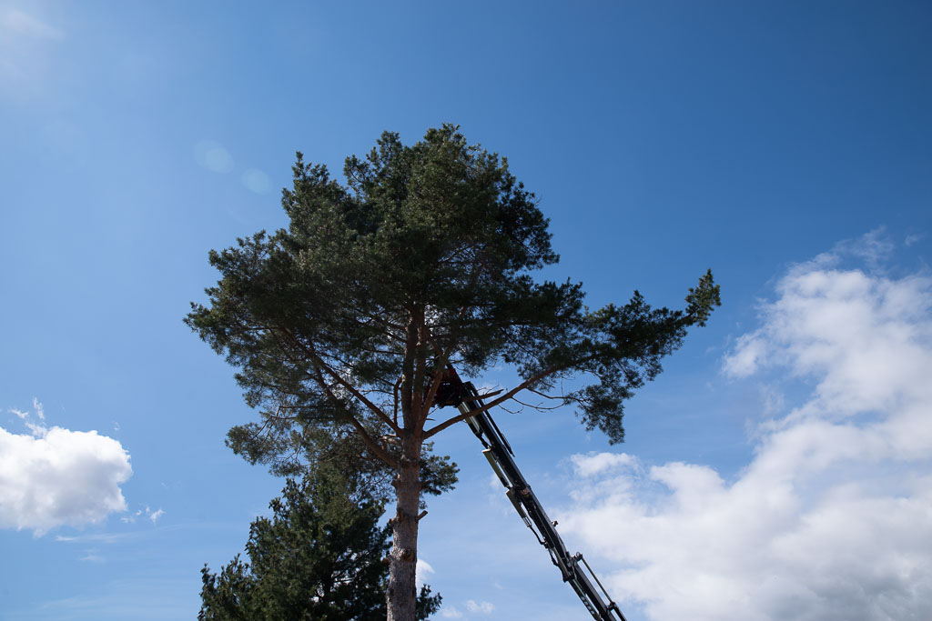 Pentax K-1 / 2 Pentax K-1   2