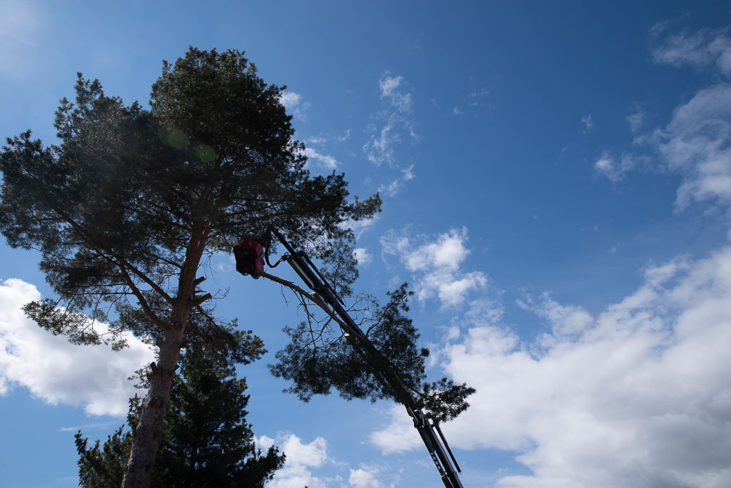 Pentax K-1 / 2 Pentax K-1   2