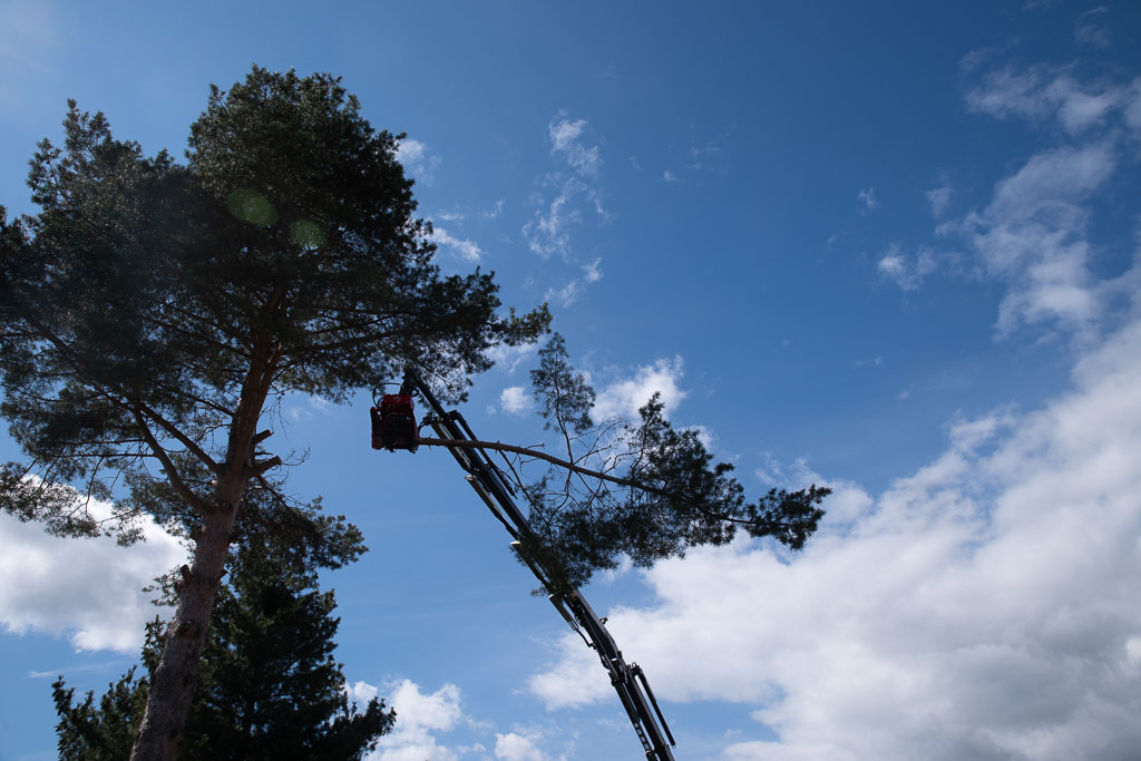 Pentax K-1 / 2 Pentax K-1   2