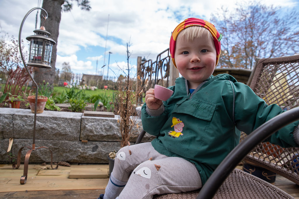 Pentax K-1 / 2 Pentax K-1   2