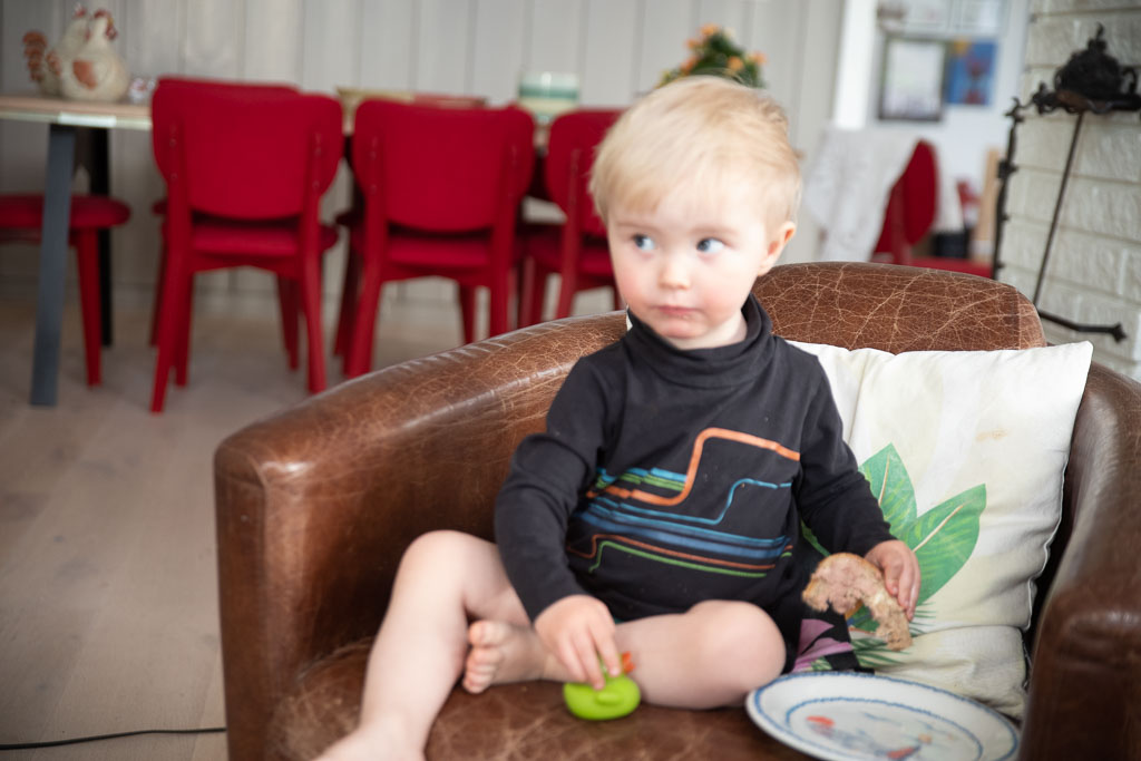 Pentax K-1 / 2 Pentax K-1   2