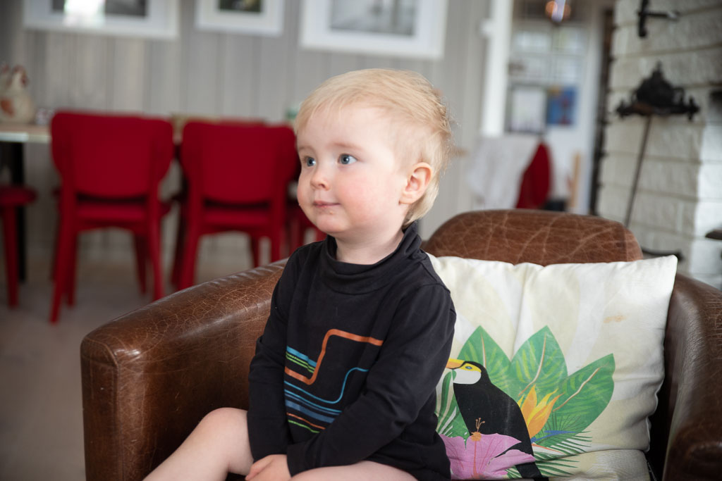 Pentax K-1 / 2 Pentax K-1   2