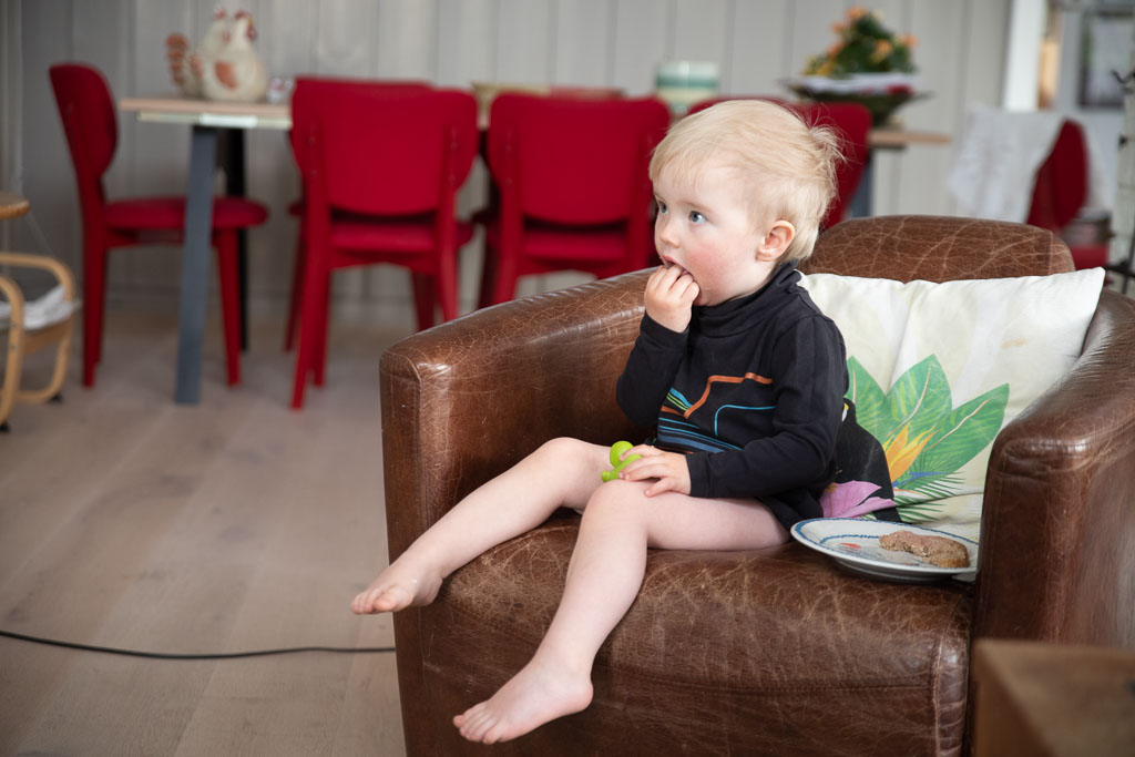 Pentax K-1 / 2 Pentax K-1   2