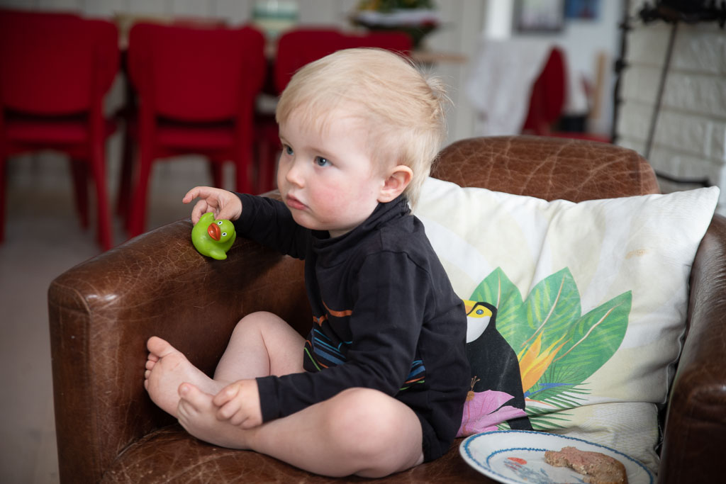 Pentax K-1 / 2 Pentax K-1   2