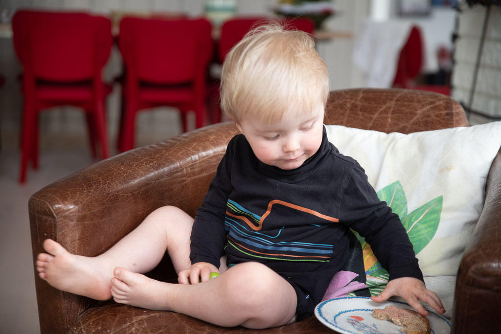 Pentax K-1 / 2 Pentax K-1   2