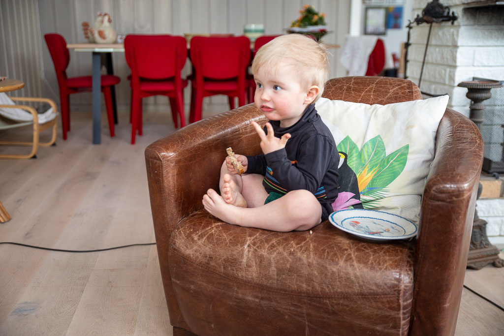 Pentax K-1 / 2 Pentax K-1   2