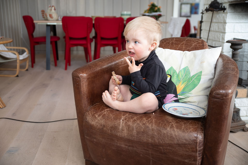 Pentax K-1 / 2 Pentax K-1   2