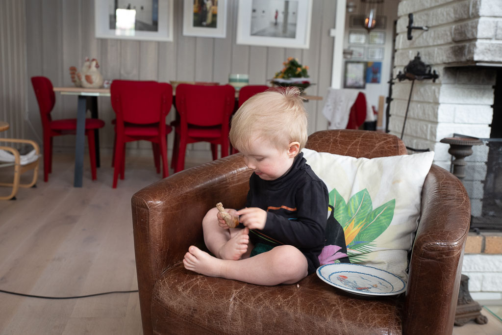 Pentax K-1 / 2 Pentax K-1   2