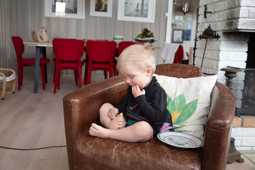 Pentax K-1 / 2 Pentax K-1   2