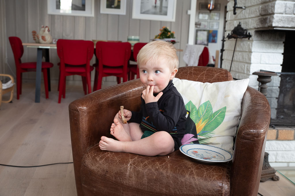 Pentax K-1 / 2 Pentax K-1   2