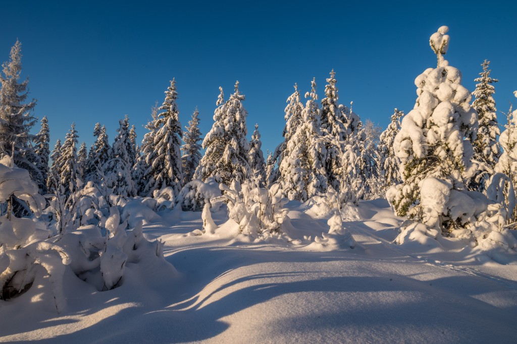 01-03-21-12.57.59.PEF