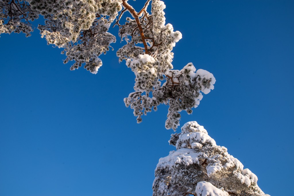 01-03-21-13.00.01.PEF