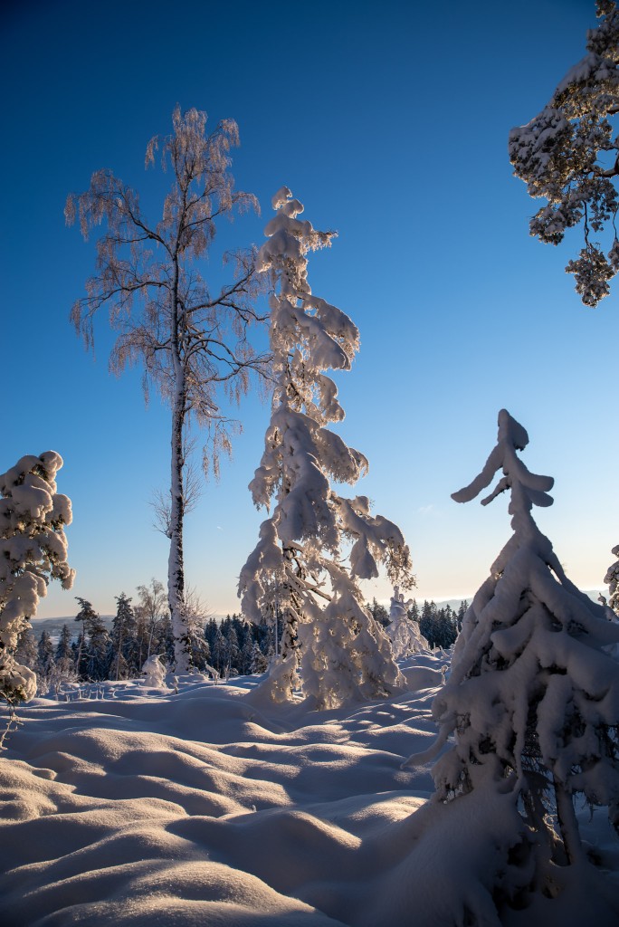 01-03-21-13.27.53.PEF