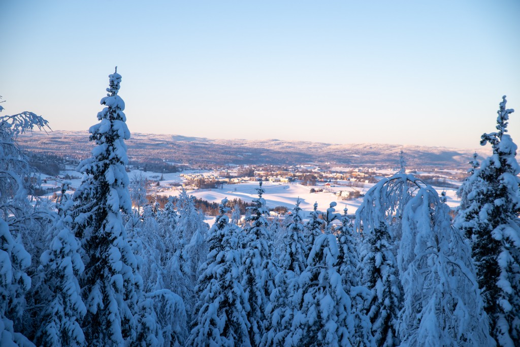 01-03-21-14.08.26.PEF