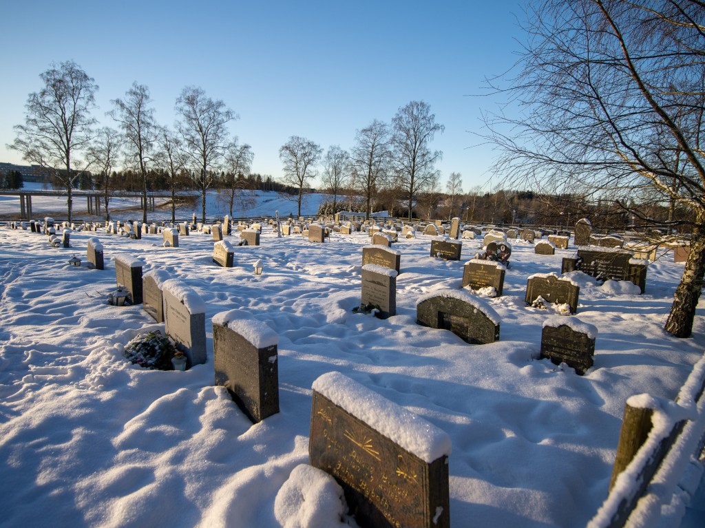 01-04-21-11.22.21.DNG