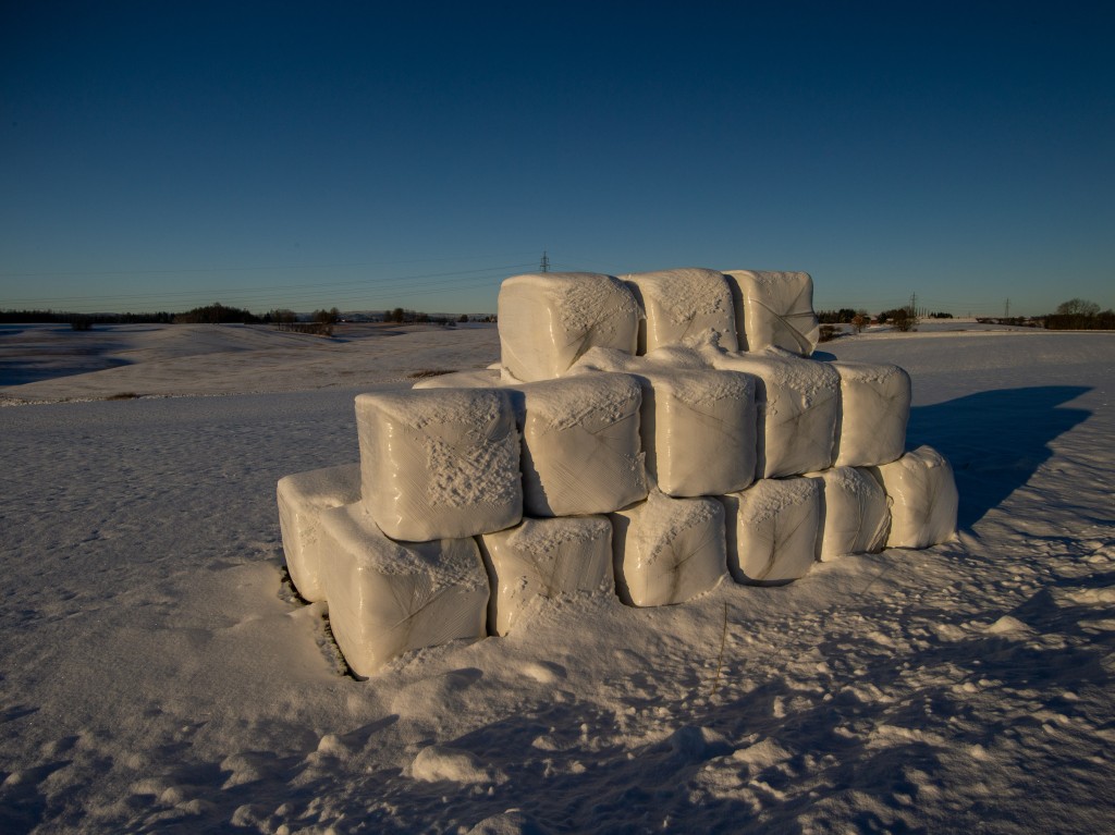 01-04-21-11.48.53.DNG