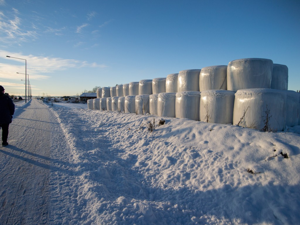 01-04-21-12.18.42.DNG