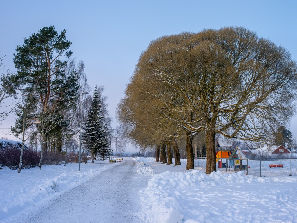 01-05-21-10.36.44.DNG